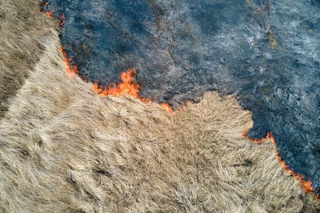 Vue aérienne du champ de prairie brûlant de feu rouge pendant la saison sèche. Concept de catastrophe naturelle et de changement climatique