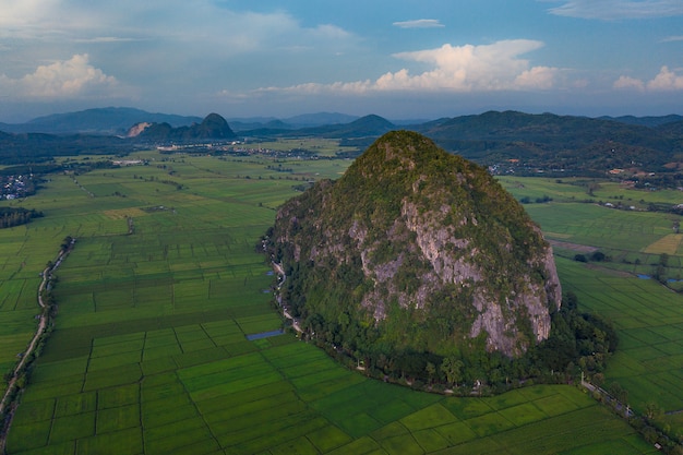 Vue aérienne du champ de terres agricoles / riice en Thaïlande