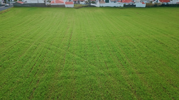 Vue aérienne du champ vert de la côte du village côtier pittoresque le soir nuageux