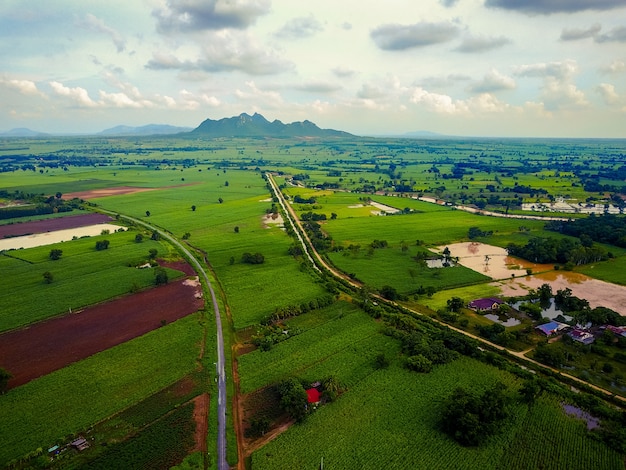 Vue aérienne du chemin de fer et de la route à travers les vastes champs de canne à sucre avec les montagnes