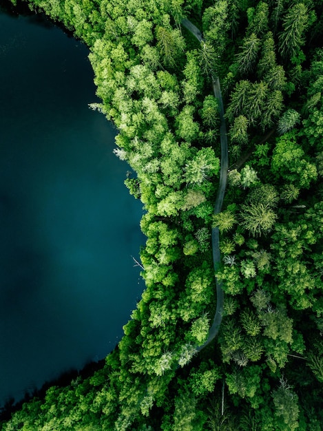 Vue aérienne du dessus de la route de campagne dans la forêt d'été verte et le lac bleu Paysage rural en Finlande Photographie de drone d'en haut