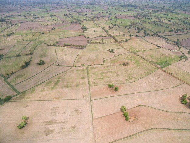 Vue aérienne du drone. champ de riz après la récolte