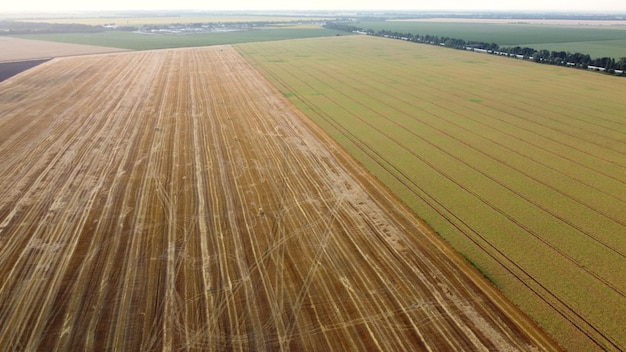 Vue aérienne du drone survolant différents champs agricoles après la récolte