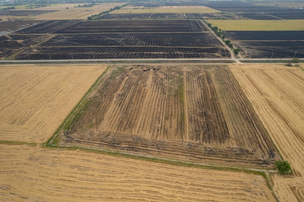 Vue aérienne du drone volant de riz de champ avec paysage vert motif nature fond vue de dessus riz de champ