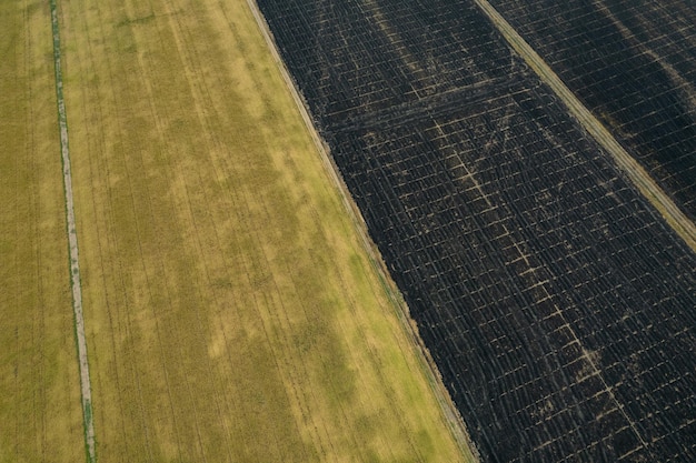 Vue aérienne du drone volant de riz de champ avec paysage vert motif nature fond vue de dessus riz de champ