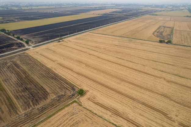 Vue aérienne du drone volant de riz de champ avec paysage vert motif nature fond vue de dessus riz de champ