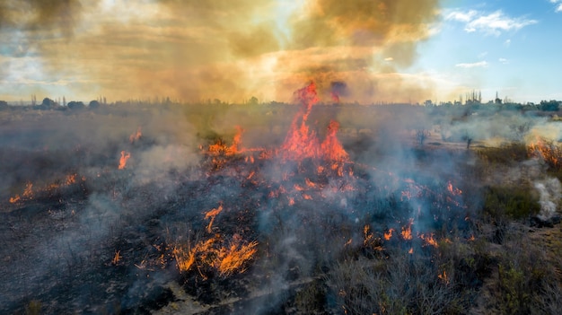 Vue aérienne du feu de forêt