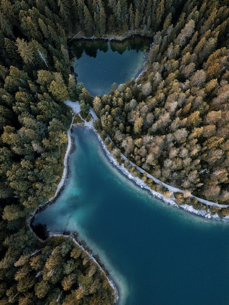 Vue aérienne du lac au milieu des arbres