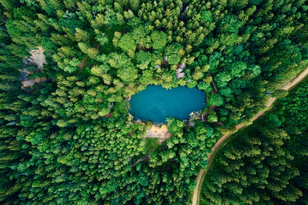 Vue aérienne du lac forestier de couleur bleue en Pologne