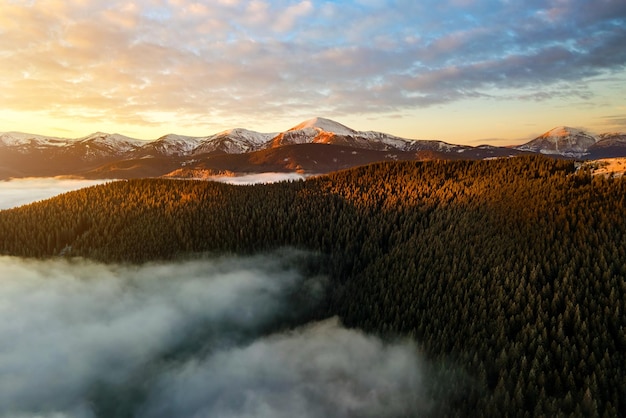 Vue aérienne du lever du soleil sur les collines des Carpates couvertes de forêt d'épinettes à feuilles persistantes en automne.