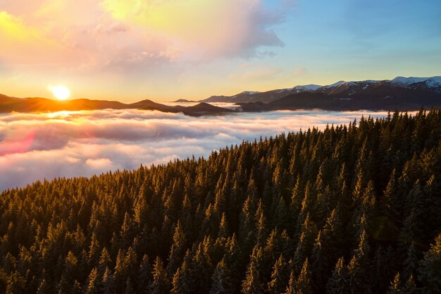 Vue aérienne du lever du soleil sur les collines montagneuses couvertes de forêt d'épinettes à feuilles persistantes en automne.