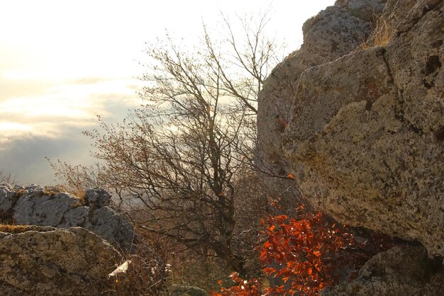 vue aérienne du lever du soleil dans les montagnes avec réflexe orange sur les nuages du ciel gros plan des rochers