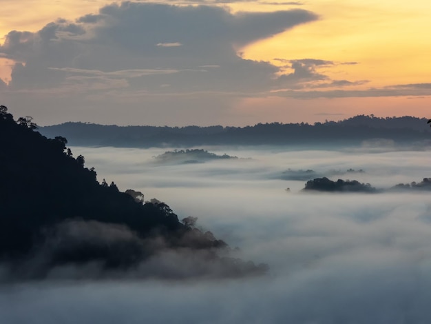 Photo vue aérienne du lever du soleil sur la forêt tropicale de la vallée de danum à lahad datu sabah malaisie