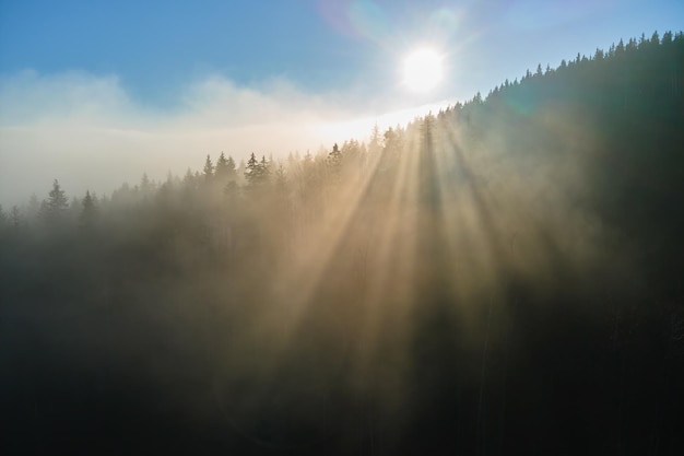 Vue aérienne du matin brumeux lumineux sur les arbres de la forêt de montagne sombre au lever du soleil d'automne Beau paysage de bois sauvage à l'aube