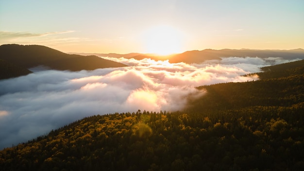 Vue aérienne du matin brumeux lumineux sur les arbres de la forêt de montagne sombre au lever du soleil d'automne. Beau paysage de forêt sauvage à l'aube.