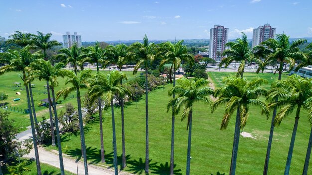 Vue aérienne du parc Burle Marx Parque da Cidade à Sao Jose dos Campos Brésil De grands et beaux palmiers