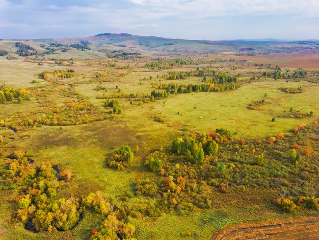 Vue aérienne du paysage d'automne avec des collines et des arbres jaunes