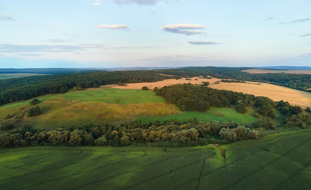 Vue aérienne du paysage des champs agricoles cultivés verts avec des cultures en pleine croissance par une belle journée d'été