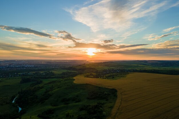 Vue aérienne du paysage du champ agricole cultivé jaune avec du blé mûr le soir d'été animé.