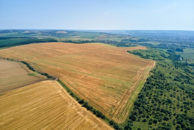 Vue aérienne du paysage du champ agricole cultivé jaune avec de la paille sèche de blé coupé après la récolte