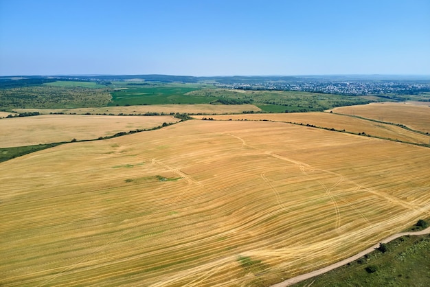 Vue aérienne du paysage du champ agricole cultivé jaune avec de la paille sèche de blé coupé après la récolte.