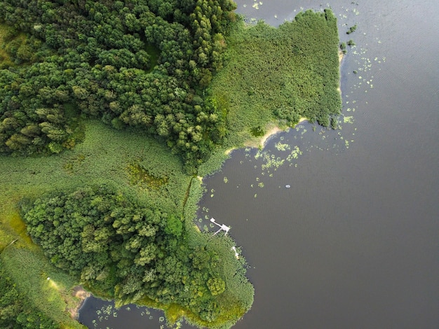 Vue aérienne du paysage d'été avec rivière et forêt verte