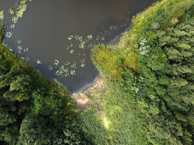 Vue aérienne du paysage d'été avec rivière et forêt verte