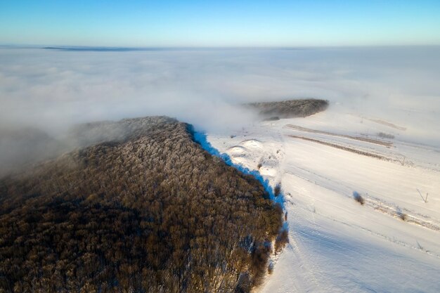 Vue aérienne du paysage d'hiver avec des arbres forestiers dénudés sombres recouverts d'un brouillard dense.