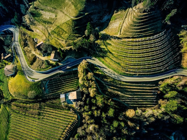 Vue aérienne du paysage avec terrasses vignoble vert en hiver en Italie
