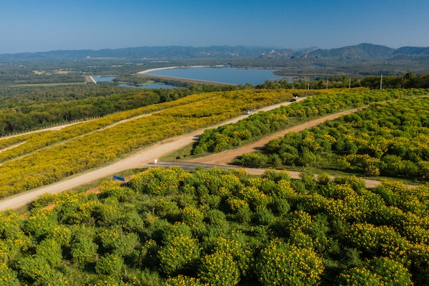 Vue aérienne du paysage vert pittoresque