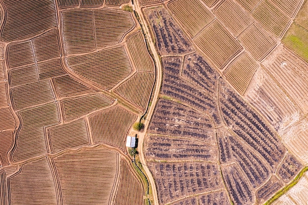 Vue aérienne du terrain agricole de la rainure du sol se préparant à la culture dans les terres agricoles à la campagne