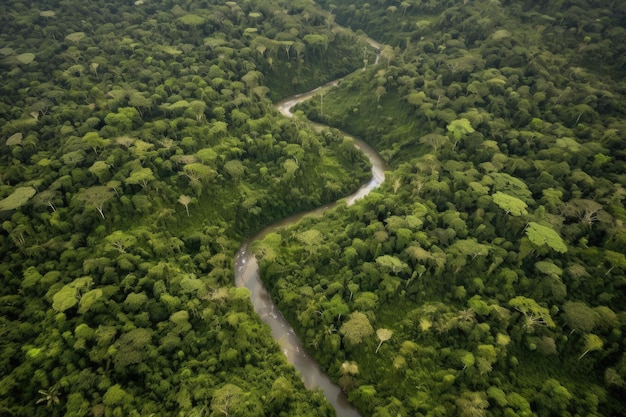 Vue aérienne de l'écosystème dense de la jungle avec des rivières sinueuses et des cascades créées avec une IA générative