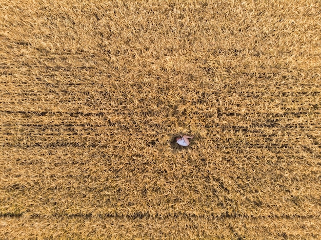 Vue aérienne de la femme allongée dans le champ de blé