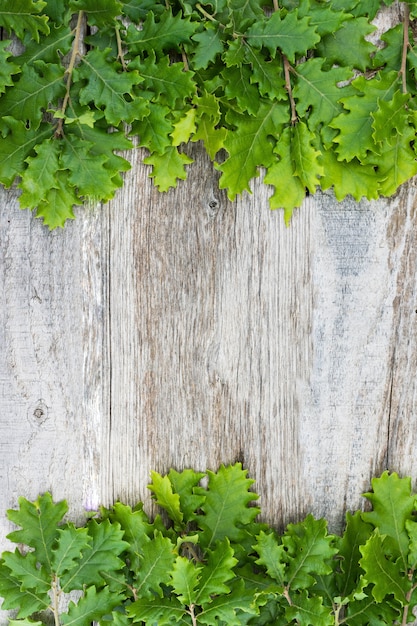 Vue aérienne de feuilles de gland fraîches sur une vieille surface en bois