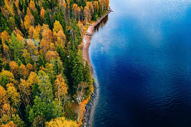 Vue aérienne de la forêt d'automne jaune et orange avec chalet et jetée en bois au bord du lac bleu en Finlande