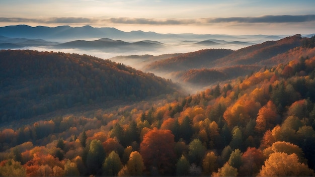 Photo vue aérienne de la forêt d'automne le matin brumeux