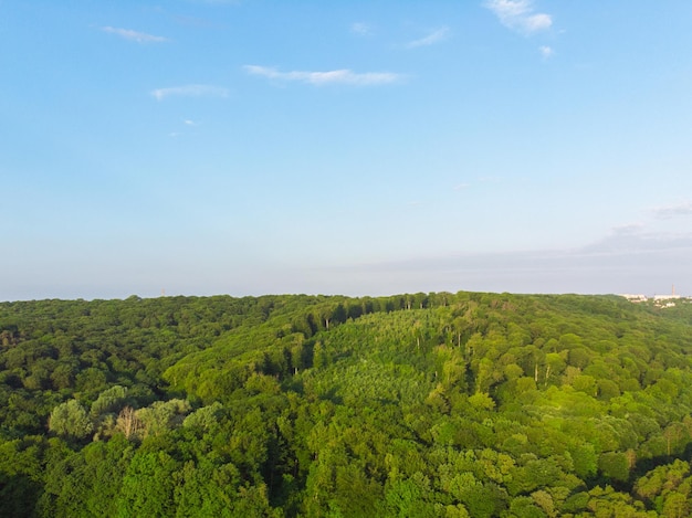 Vue aérienne de la forêt avec un ciel bleu