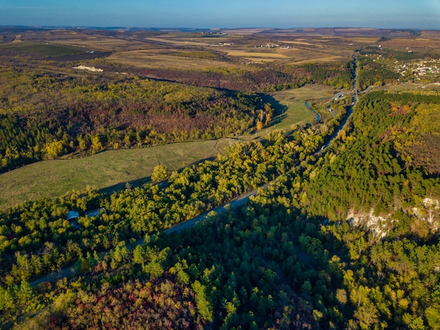 Vue aérienne de la forêt colorée à l'automne avec route qui traverse