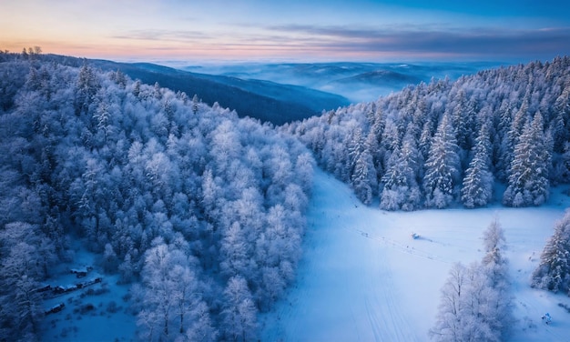 Photo vue aérienne d'une forêt enneigée avec une route