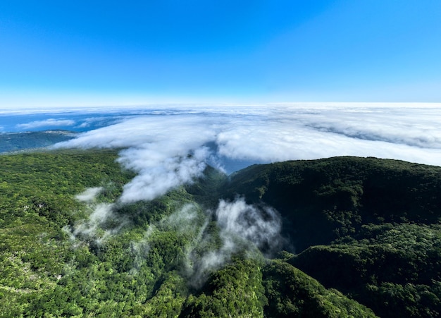 Vue aérienne de la forêt de Fanal au Seixal, au Portugal, au milieu des nuages