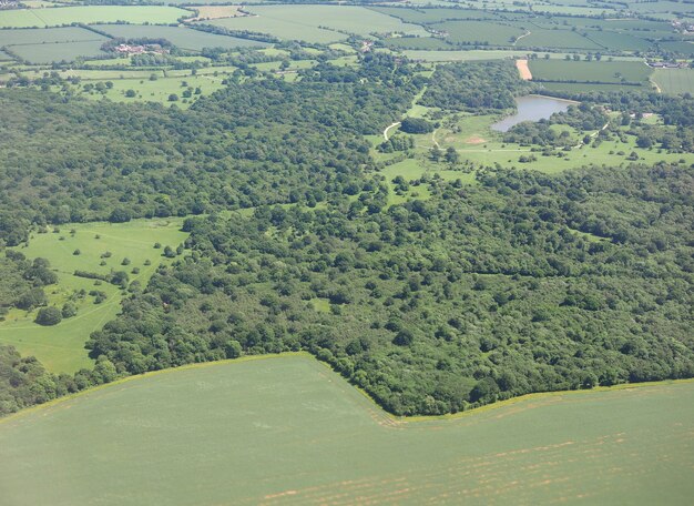 Vue aérienne de la forêt d'Hatfield