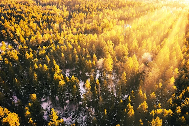 Vue aérienne de la forêt d'hiver au coucher du soleil