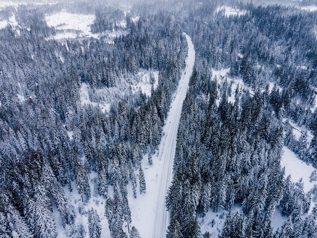 Vue aérienne de la forêt d'hiver couverte de photographie de drone de neige Route d'hiverxDxA