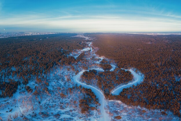 Vue aérienne d'une forêt d'hiver en forme de coeur