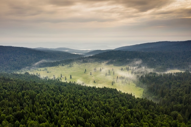 Vue aérienne de la forêt de montagne un jour d'été