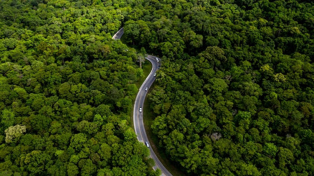 Photo vue aérienne sur la forêt tropicale avec une route traversant avec voiture, route forestière.