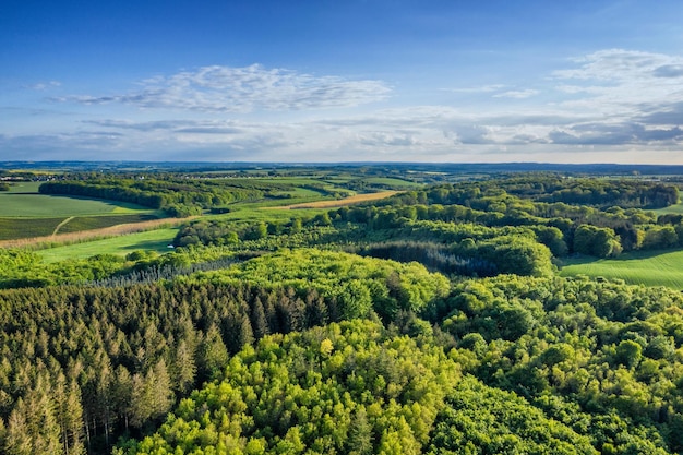 Vue aérienne des forêts de pins au Danemark par une journée nuageuse en été Paysage de bois verts cultivés pour le bois et le bois près de terres agricoles luxuriantes sur un horizon bleu pour le fond de l'espace de copie