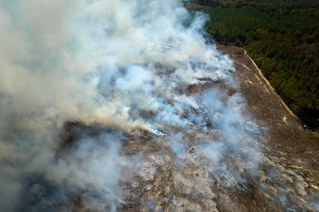 Vue aérienne de la fumée blanche des incendies de forêt s'élevant dans une atmosphère polluante Concept de catastrophe naturelle