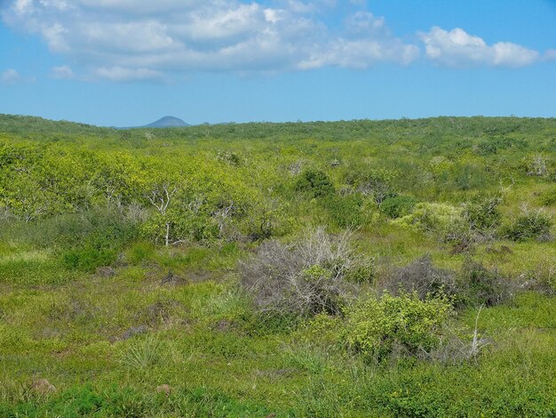 Vue aérienne des Galapagos