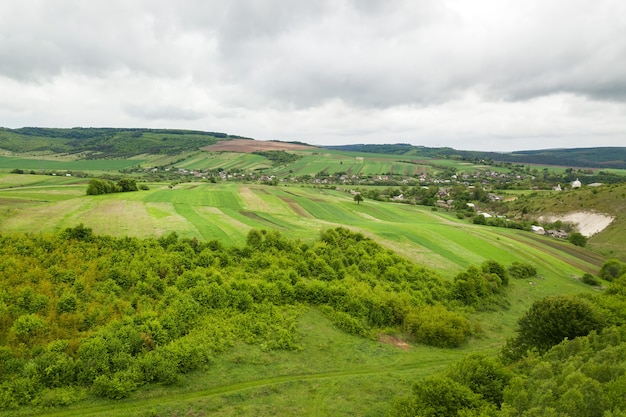 vue aérienne de haut en bas de la forêt verte d'été avec une grande surface d'arbres coupés